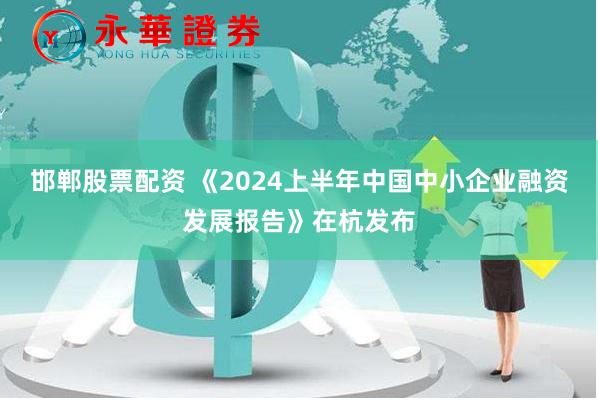 邯郸股票配资 《2024上半年中国中小企业融资发展报告》在杭发布