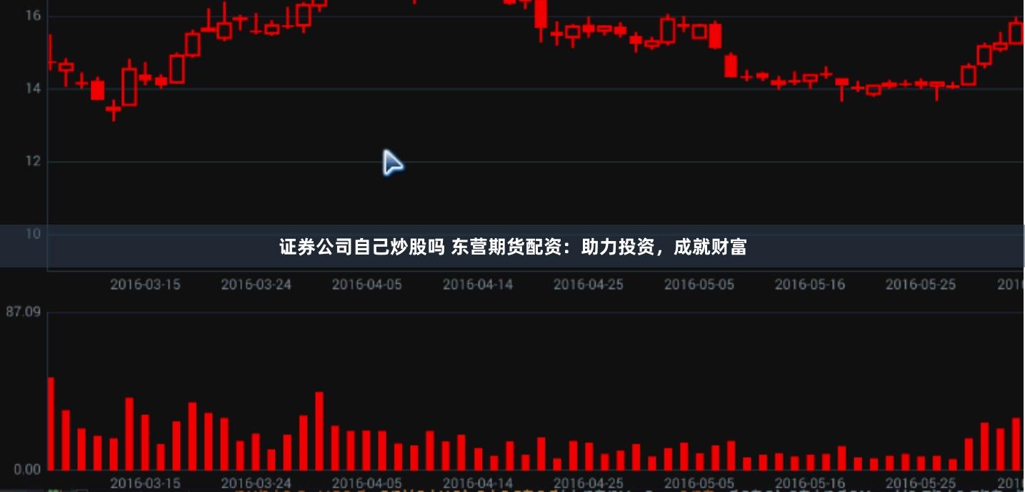 证券公司自己炒股吗 东营期货配资：助力投资，成就财富