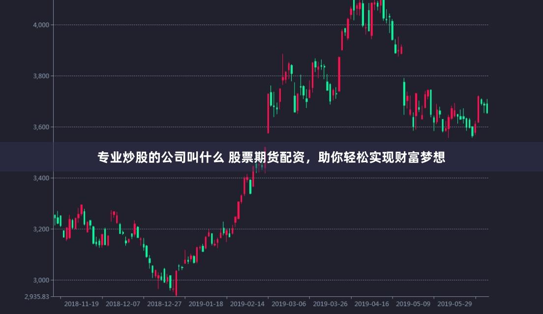 专业炒股的公司叫什么 股票期货配资，助你轻松实现财富梦想